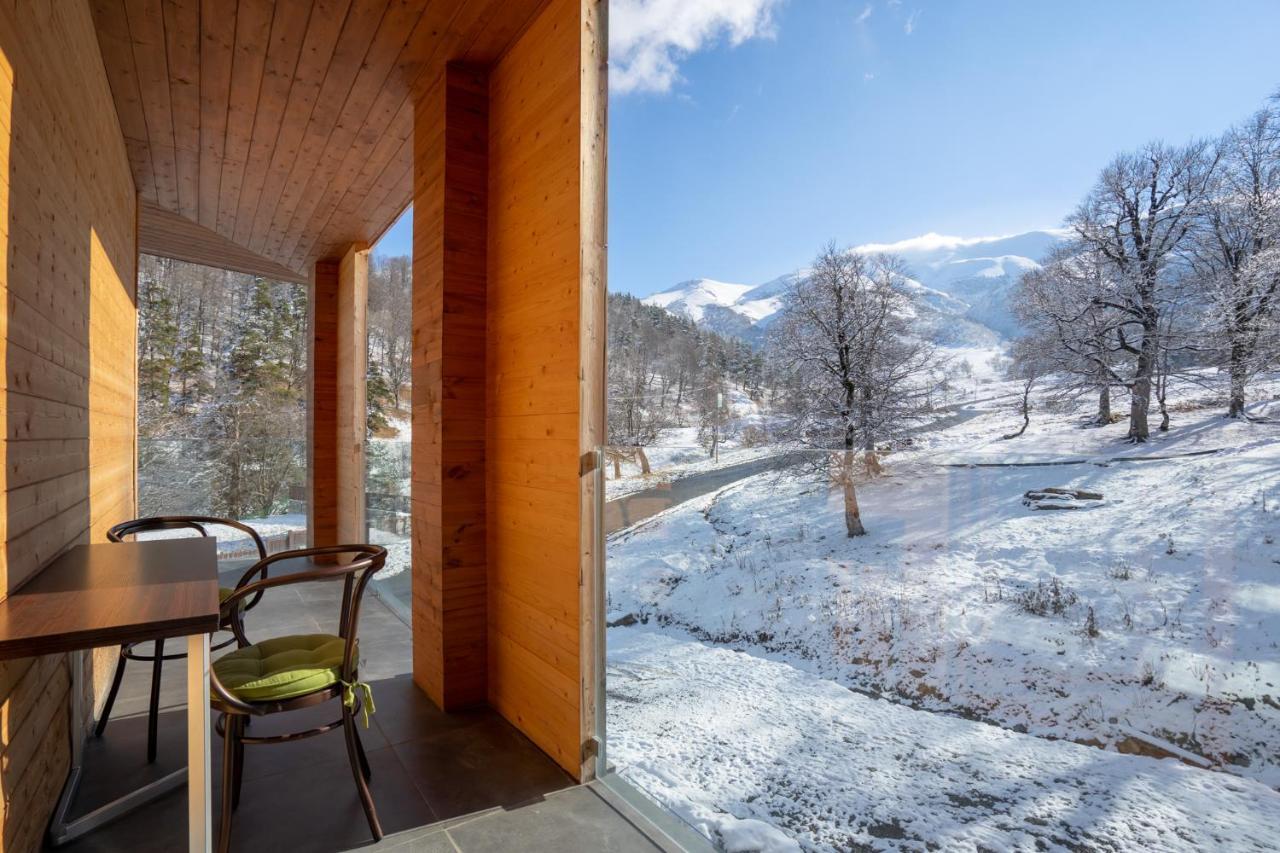 Didveli Valley Bakuriani Exteriör bild
